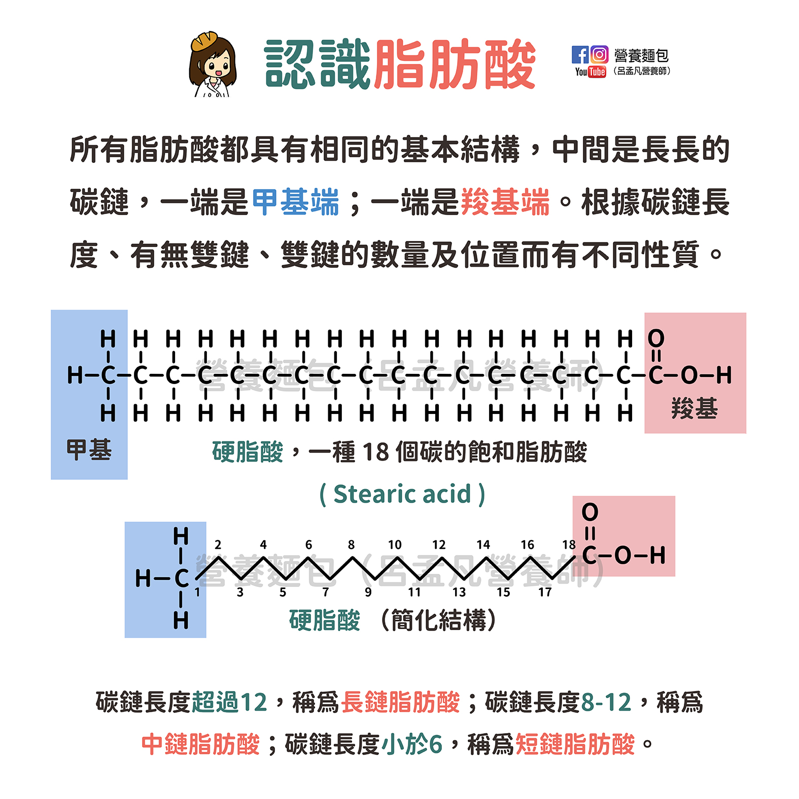 認識脂肪酸：飽和脂肪酸、不飽和肪酸、反式脂肪酸是什麼？營養師圖解。